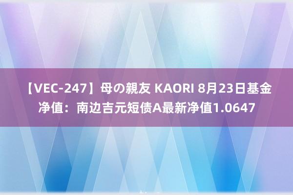 【VEC-247】母の親友 KAORI 8月23日基金净值：