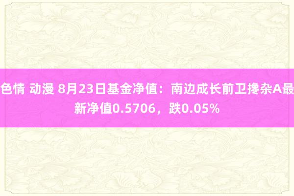 色情 动漫 8月23日基金净值：南边成长前卫搀杂A最新净值0