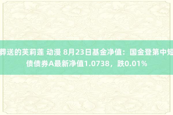 葬送的芙莉莲 动漫 8月23日基金净值：国金登第中短债债券A